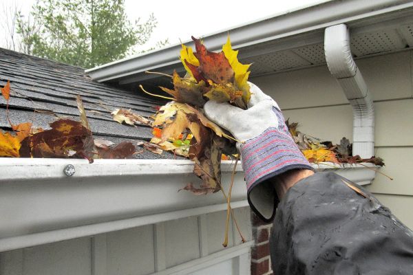 Eaves Cleaning in Leland