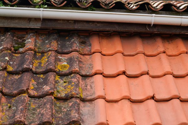 Industrial Roof Cleaning in Leland